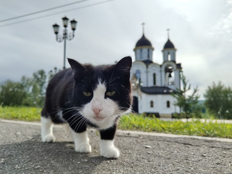 On a morning jog
