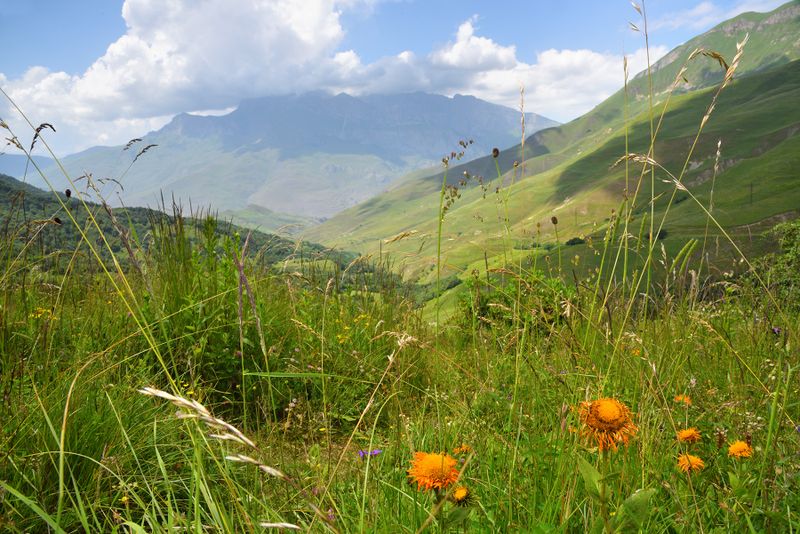 North Ossetia