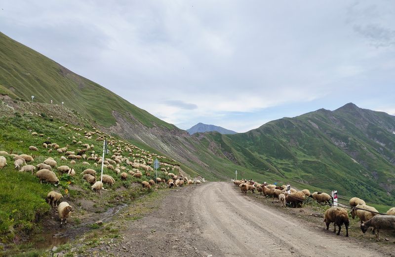 The Greater Caucasus (Russia - Georgia) Part 2. Summer
