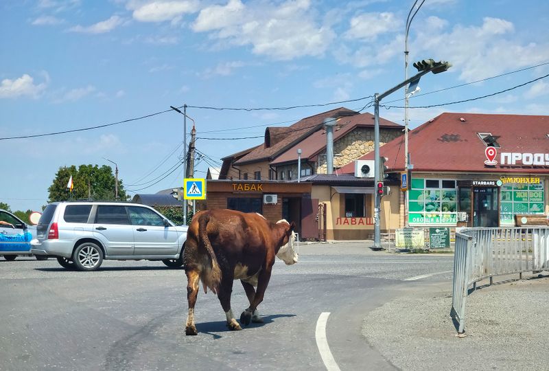 ran a red light, rushed to the bar Munich (МЮНХЕН)
