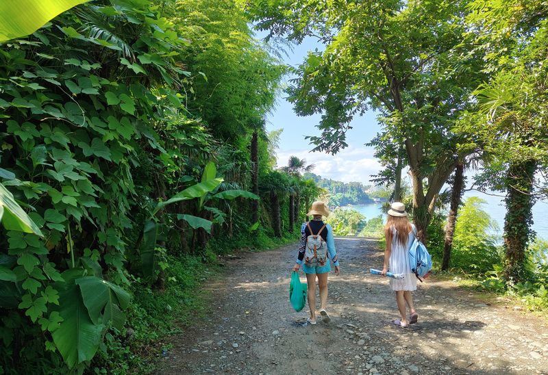 Georgia, road to the beach