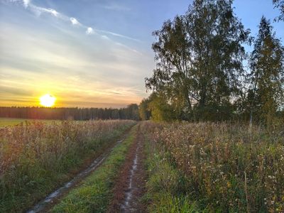 It's just autumn