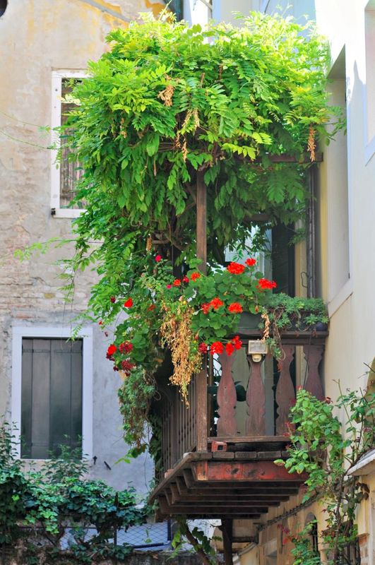 DSC_4735.jpg