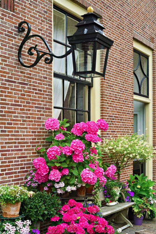 Haarlem - 2015
