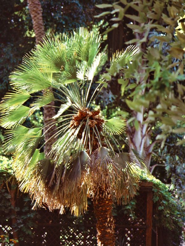 KTR-0005.jpg