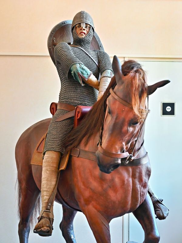 William the Conqueror 