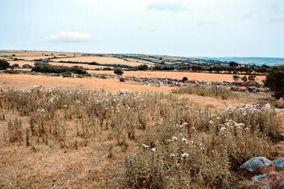 Cornwall