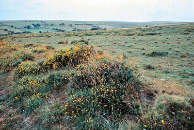 Cornwall