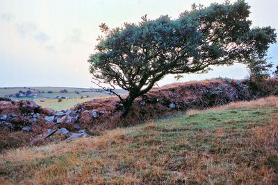 Cornwall