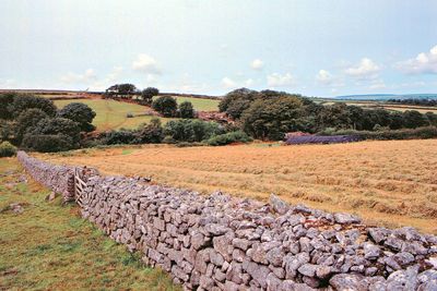 Drystone wall landscape