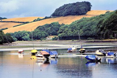 Dart River - South Devon