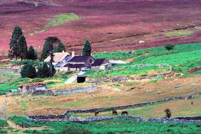 Dartmoor National Park