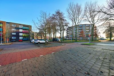 ACV_0550.jpg