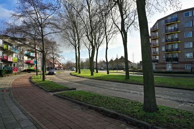 ACV_0740.jpg
