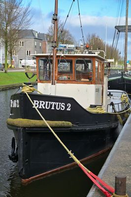 ACV_0786.jpg