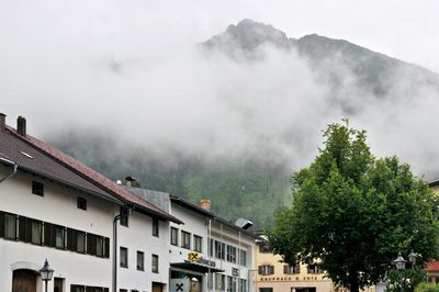 DSC_4015.jpg