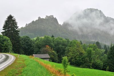 DSC_4018.jpg
