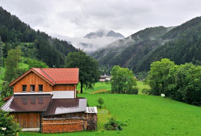 DSC_4225.jpg