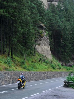 DSC_4232.jpg