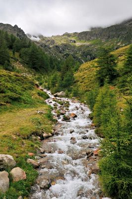 DSC_4296.jpg