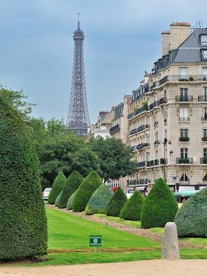 DSC_9603.jpg