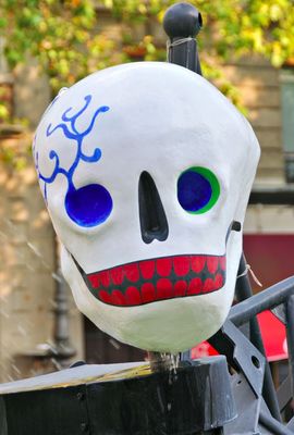 DSC_9811.jpg