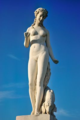 DSC_9542.jpg