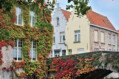 _DSC7407_01.jpg