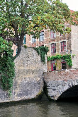 _DSC7441.jpg