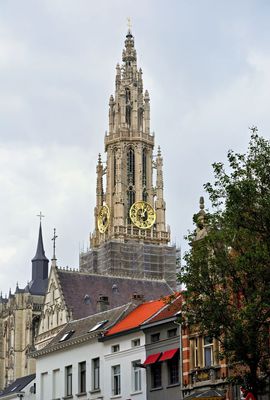 _ACV9017.jpg