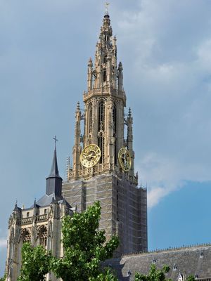 _ACV9195.jpg