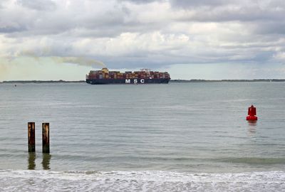 Container ship sails on the Western Scheldt