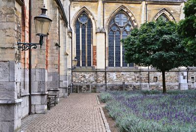 Pandhof garden