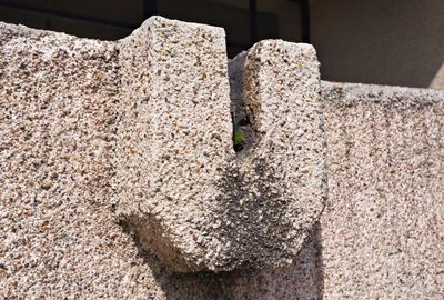750_6148.jpg