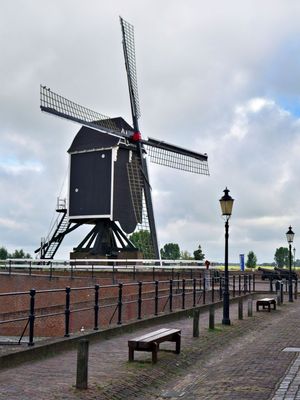 ACV_4768_01.jpg