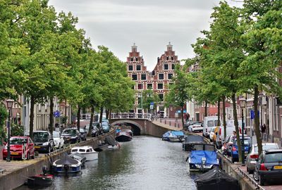HAARLEM - NETHERLANDS -2015
