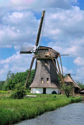 DSC_0086.jpg