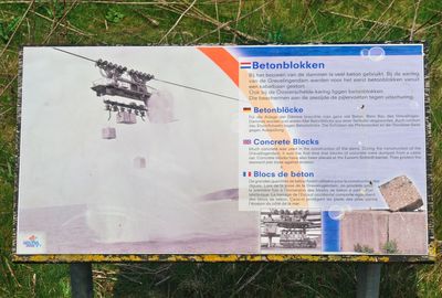 DSC_3113.jpg