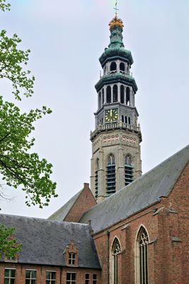 DSC_3364.jpg