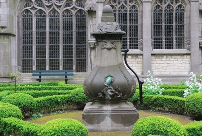 DSC_3391.jpg