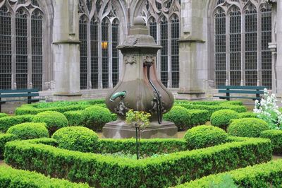 DSC_3392.jpg