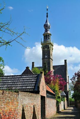 DSC_3526.jpg