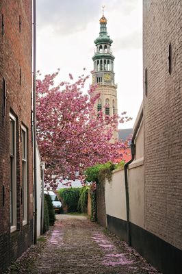 DSC_3647.jpg