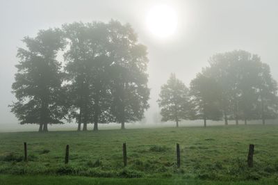 _DSC8028.jpg