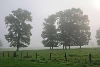 _DSC8031.jpg