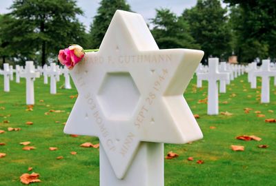 DSC_5598.jpg