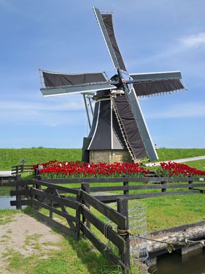 _DSC0366.jpg