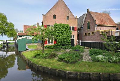 _DSC0461.jpg