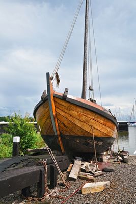 ACV_3727.jpg