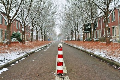 DSC_1900.jpg